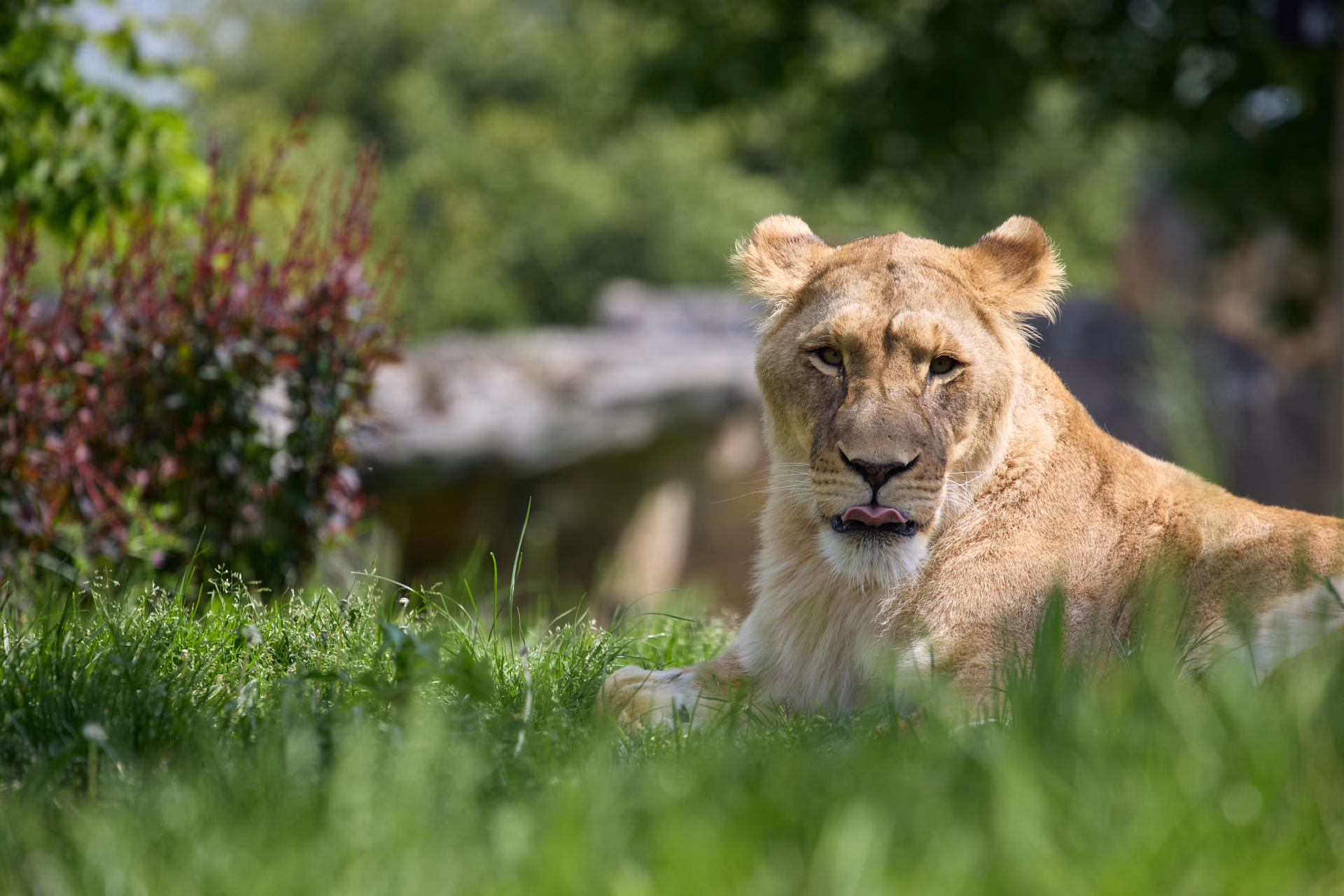 Nature & animaux