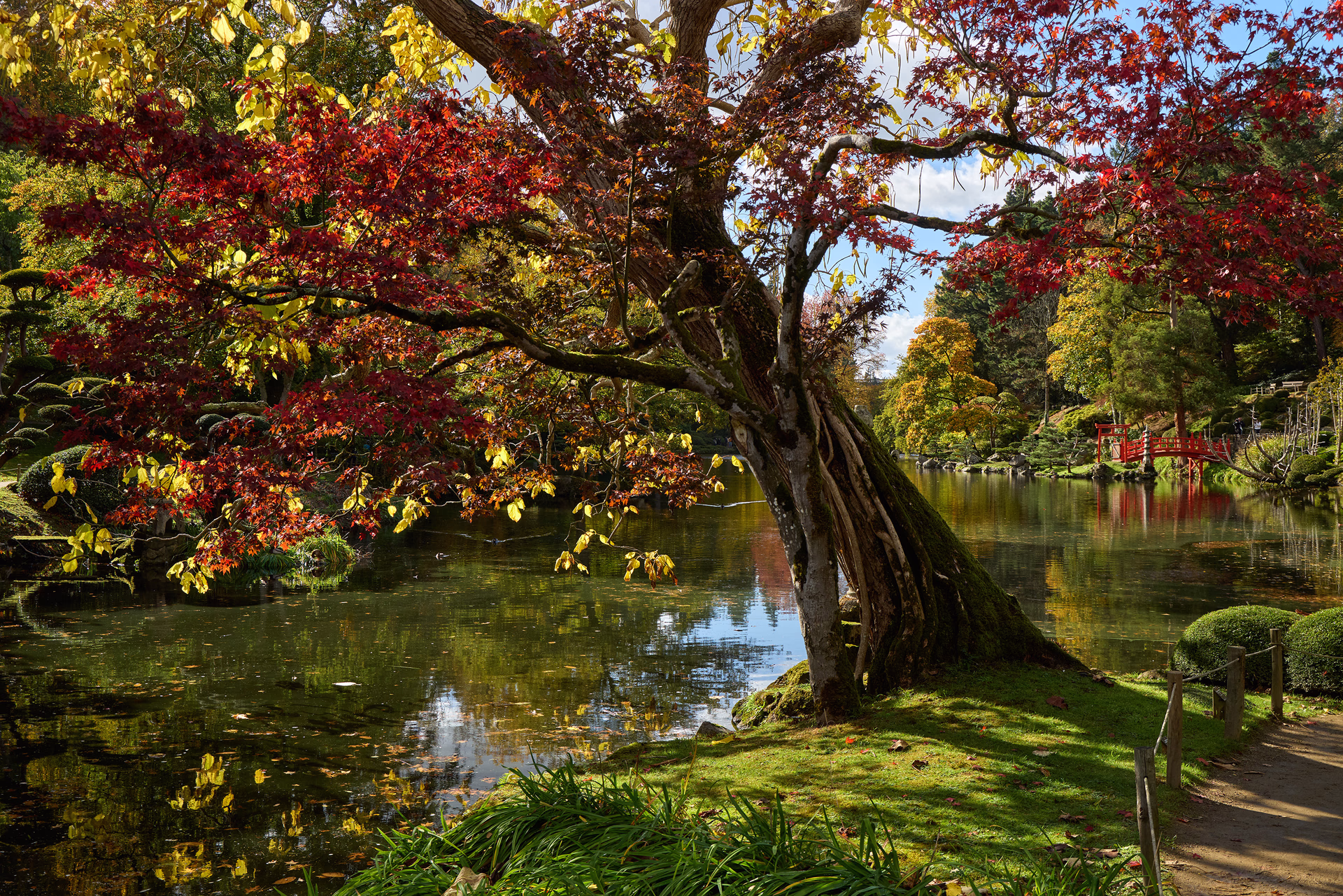 Paysages