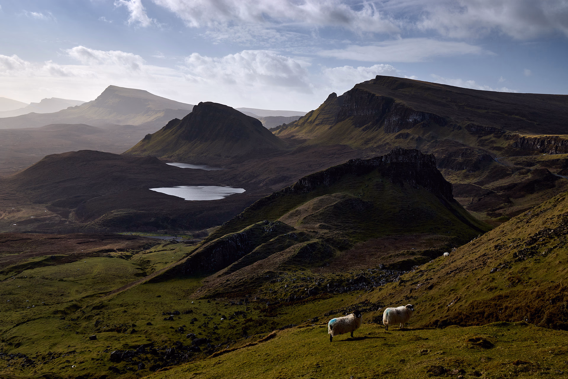 Paysages