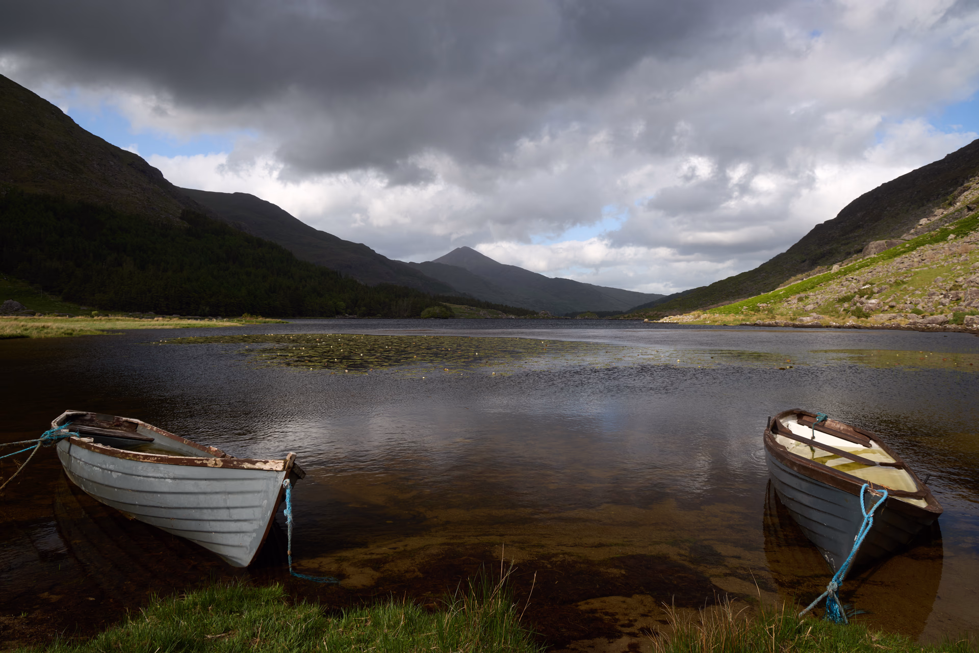 Paysages
