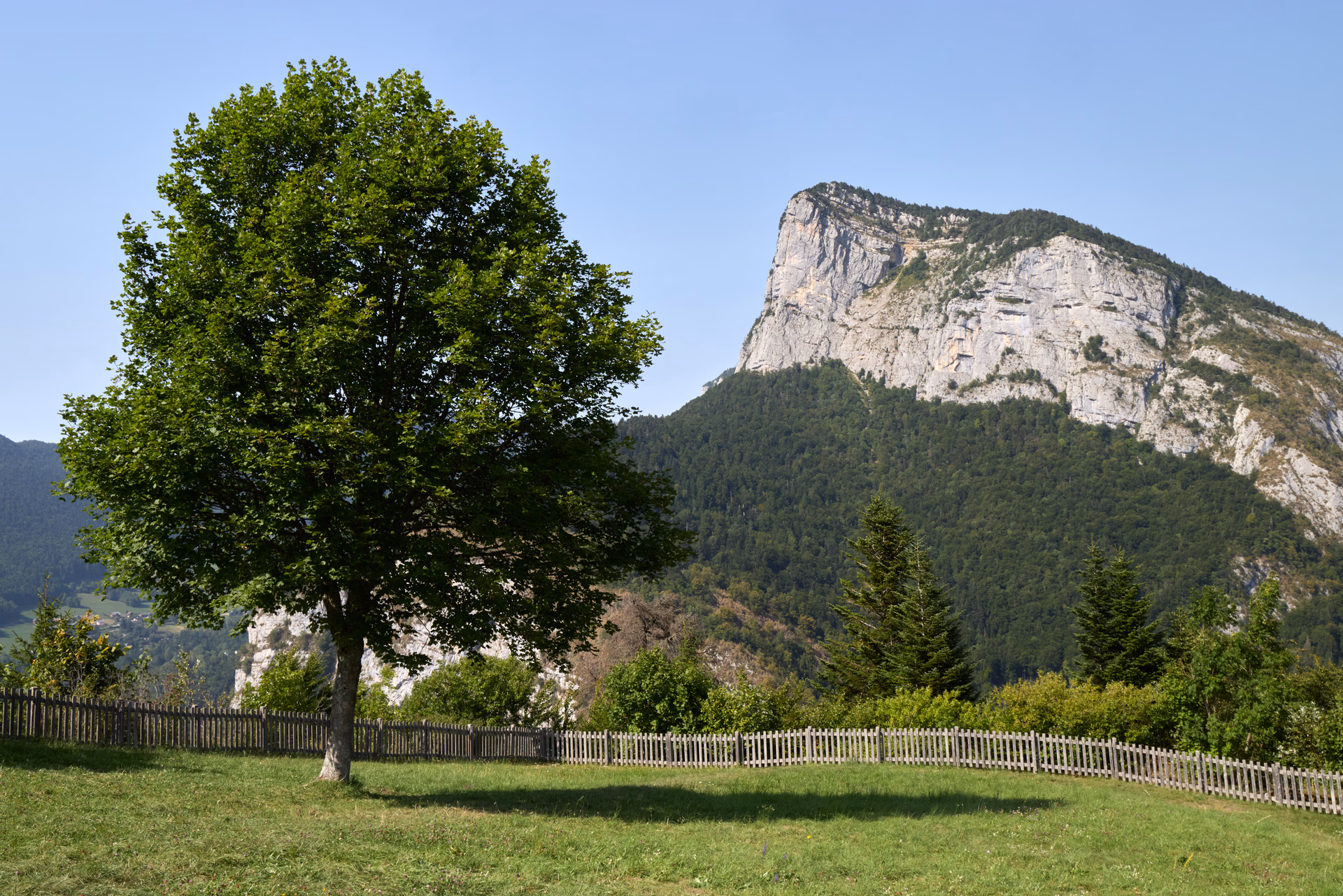 Paysages